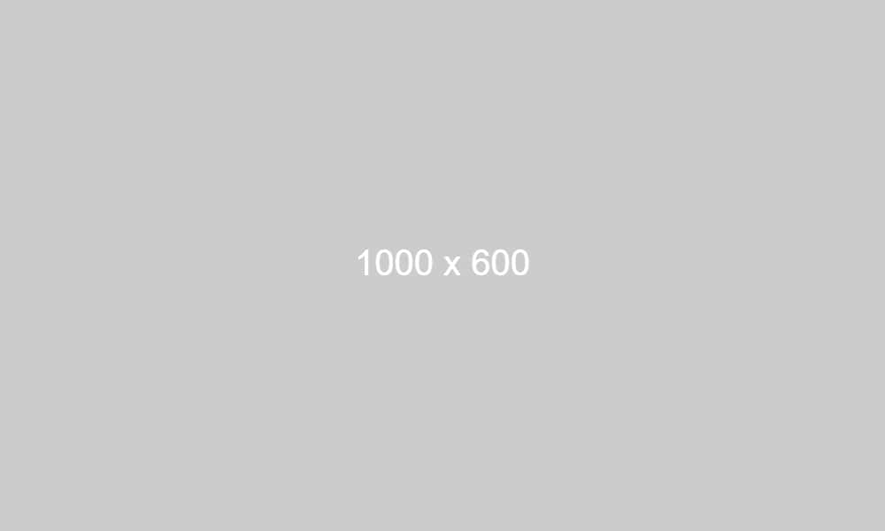 dummy_1000x600_ffffff_cccccc